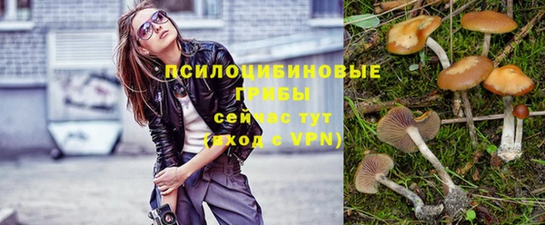 MESCALINE Новозыбков