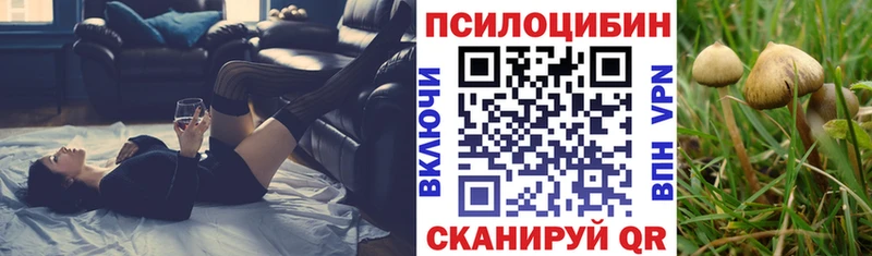 Галлюциногенные грибы Magic Shrooms  закладка  OMG   Анжеро-Судженск 